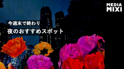 最後の週末へ　都庁の隣、新宿中央公園が「光の彫刻」になる「TOKYO LIGHTS 2026」