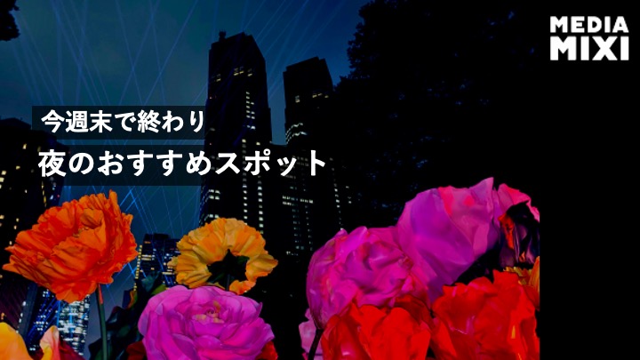 最後の週末へ　都庁の隣、新宿中央公園が「光の彫刻」になる「TOKYO LIGHTS 2026」