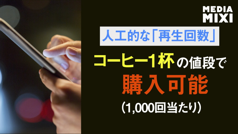 SNS偽エンゲージメントサービス、現在の費用はいくら？