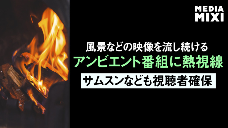 「ぼんやり見るテレビ」大きなビジネスに